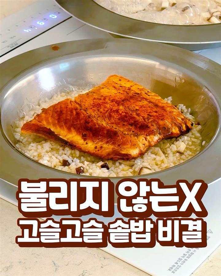 연어 솥밥